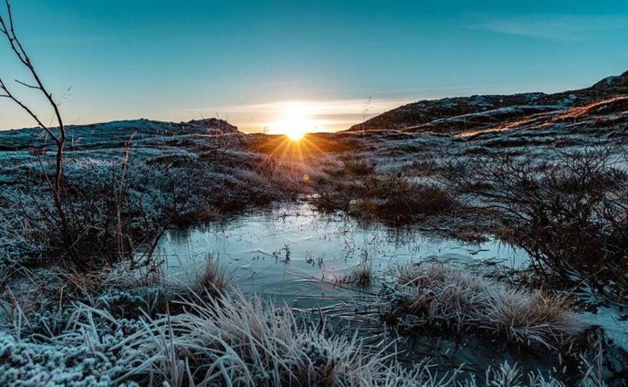 Tromsø: Arctic Sightseeing Tour & Citizen Science Project