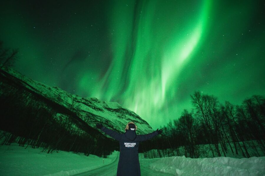 Tromsø: Aurora Borealis Chase With Guide, Meals & Campfire - Tour Overview and Pricing