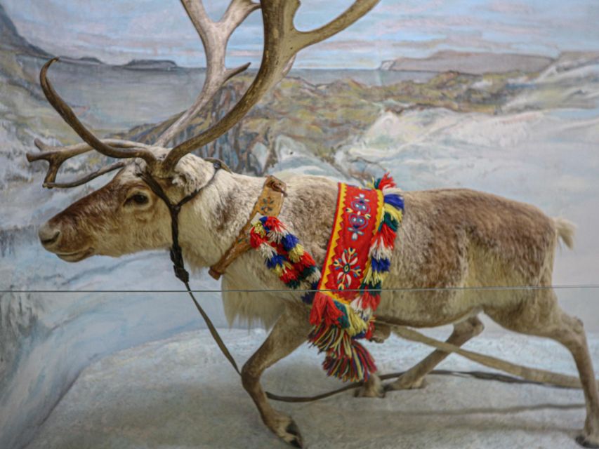 Tromsø: Discover Sami Culture Museum Expedition