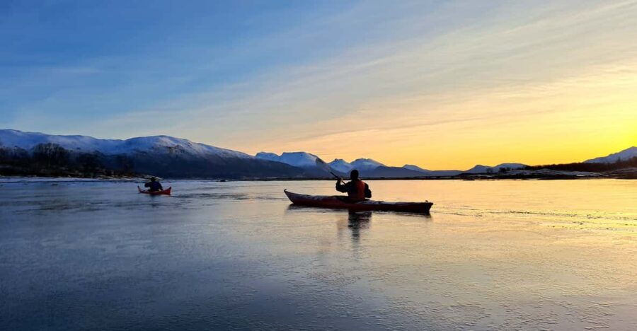 Tromsø: Easy Winter Kayaking Tour With Seal Watching - Tour Overview