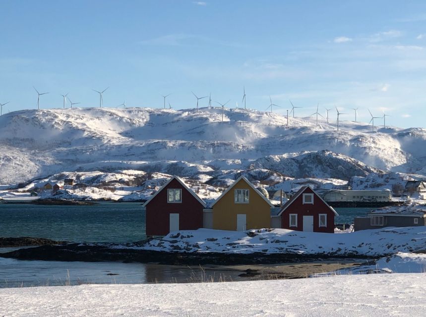 Tromsø: Fjord and Sommarøy Island Tour