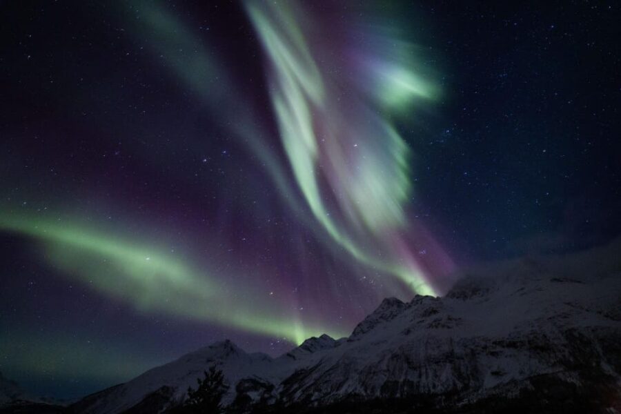 Tromsø: Northern Light Tour With Campfire and Hotel Transfer
