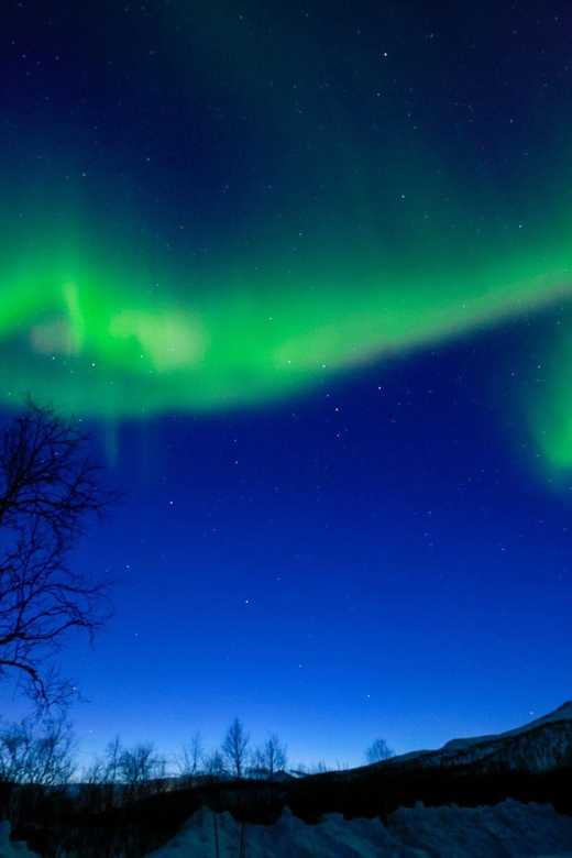 Tromsø: Northern Lights Tour With Photography (Chinese)