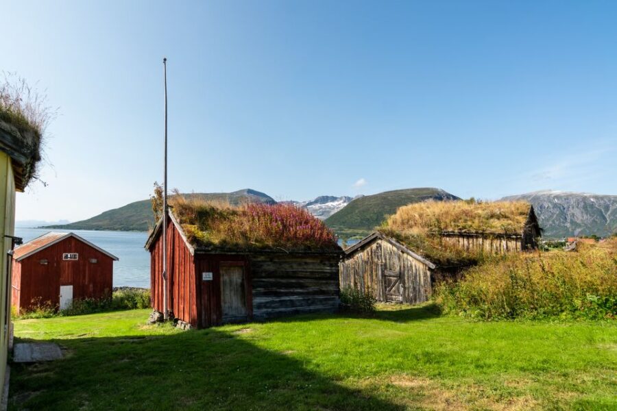 Tromsø: Private Arctic Fjords and Sommarøy Scenic Day Trip - Tour Overview