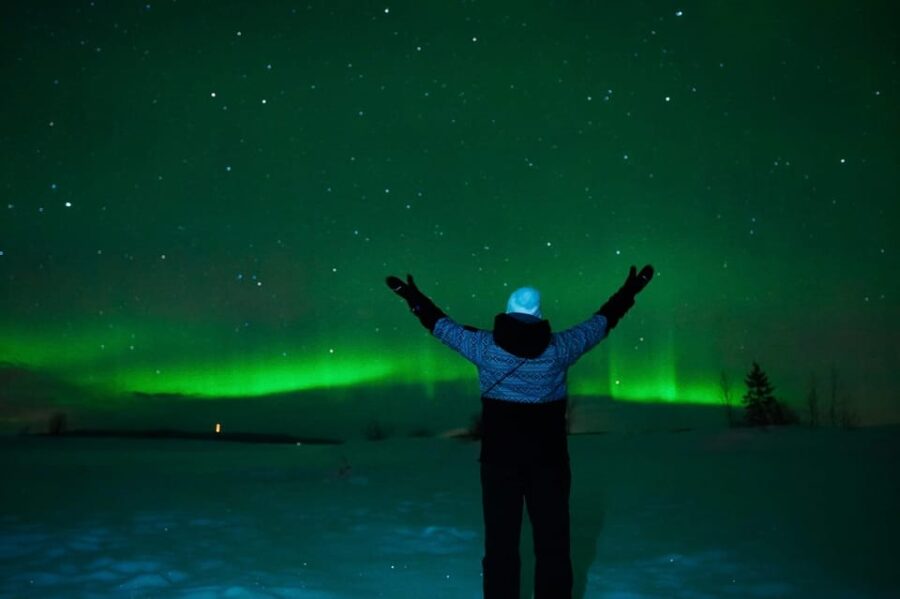 Tromsø: Private Tour With Guaranteed Northern Lights Viewing - Tour Overview and Pricing
