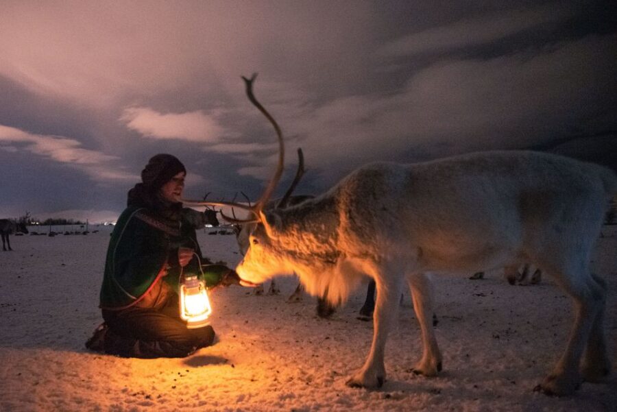 Tromsø: Reindeer Sled, Dinner, and Northern Lights Day Trip - Exploring Tromsøs Reindeer Sled Journey