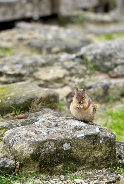 Troy: Full-Day Tour From Istanbul - Tour Overview and Pricing