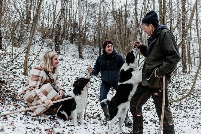 Truffle Hunting And Cheese, Truffle & Wine Tasting Near Alba