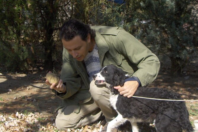 Truffle Hunting & Tasting in San Miniato Tuscany With Dogs