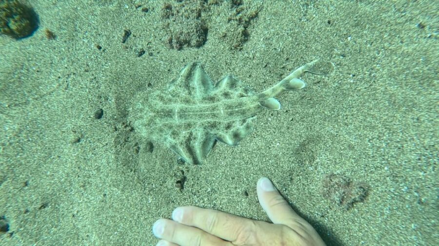 Try Dive and Have a Wonderful Experience in Lanzarote