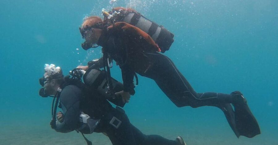 Try Dive for Beginners