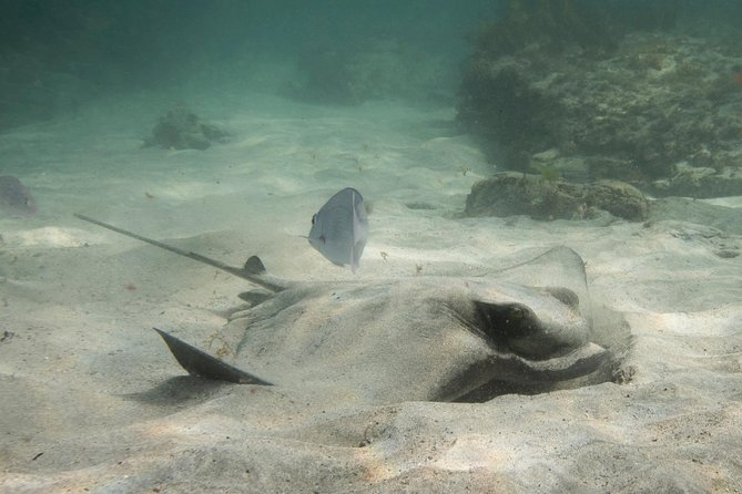 Try Scuba Diving