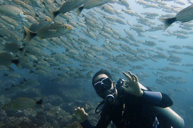 Try Scuba Diving / Basic Diver - Location and Dive Sites