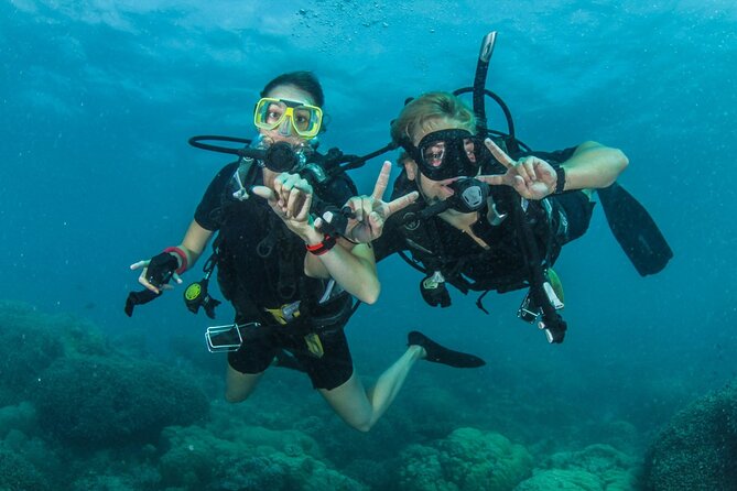 2 Best Scuba Diving Experiences In Fujairah