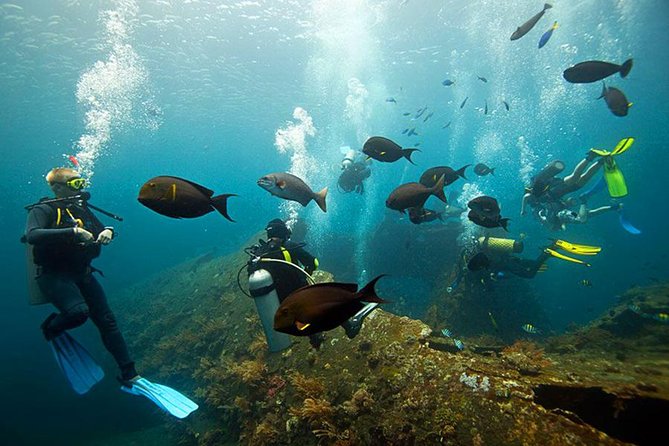Tulamben Diving Tour Shipwreck USS Bali