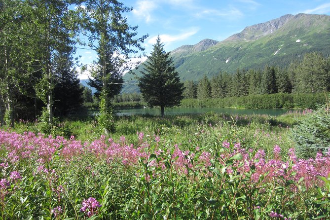 Turnagain Arm Tour: A Must See Destination