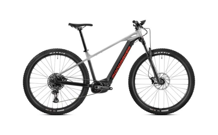 Tux: E-Bike Rental