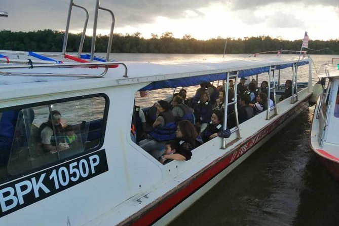 Twinkling Kuala Selangor Firefly Boat Tour From Kuala Lumpur