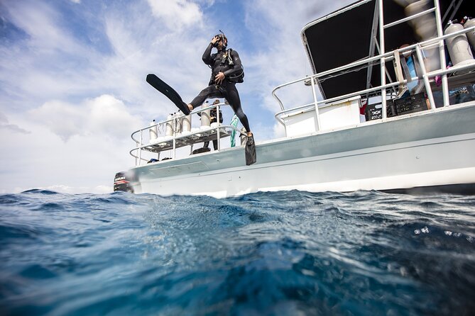 Two Dive Tour | Las Catalinas Islands - Tour Overview