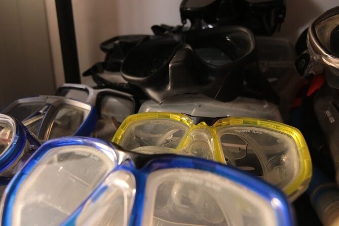 Two Morning Dives in Gozo for Certified Diver - Gearing Up for the Adventure