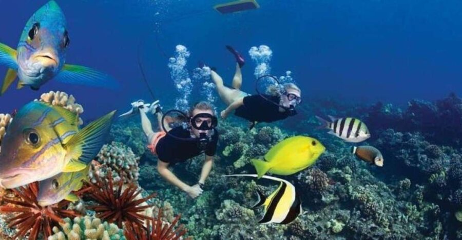 Two Stop Deluxe Molokini Snorkel