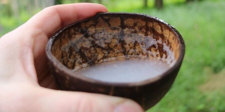 Two-Wheeled Toddy Hunting Adventure in Bentota.