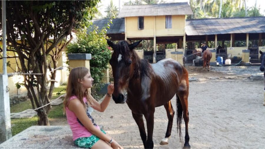 Ubud: 1 Hour Beach Horse Riding With Transfer - Activity Overview