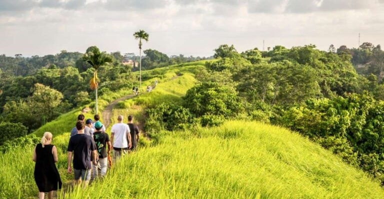 Ubud: 3-Hour Walking Tour With Lunch