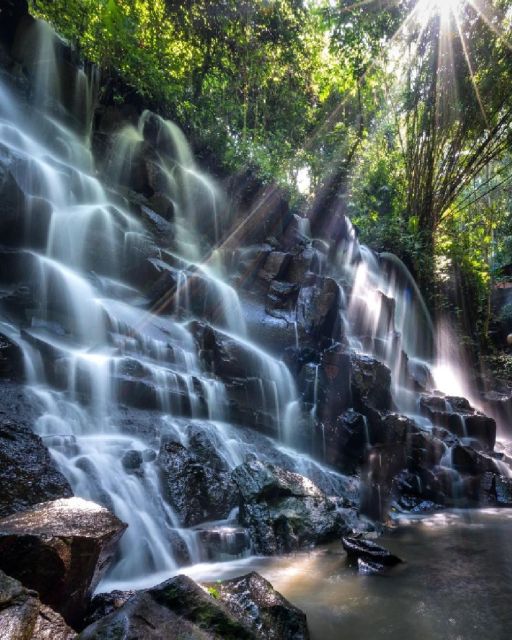 Ubud: Bali Swing, Monkey Forest, Waterfall Tour & Lunch