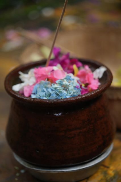 Ubud: Nature and Culture Explorer - Tour Overview
