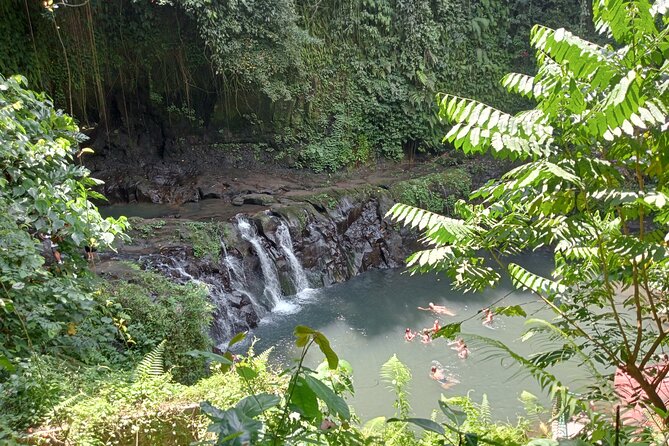Ubud Tamansari Natural Pool Bali Swing Private Guided Tour