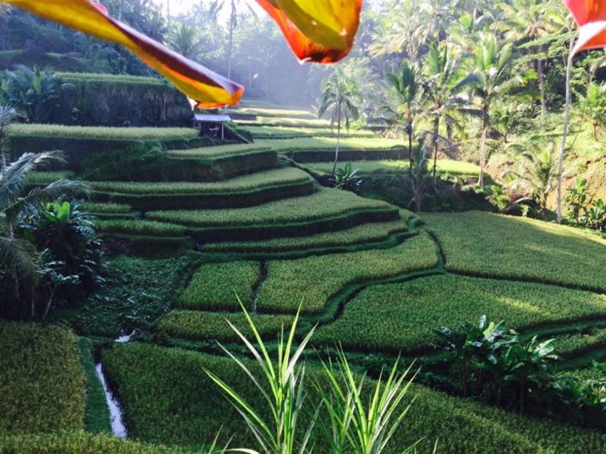Ubud & Volcano Hot Springs Tours