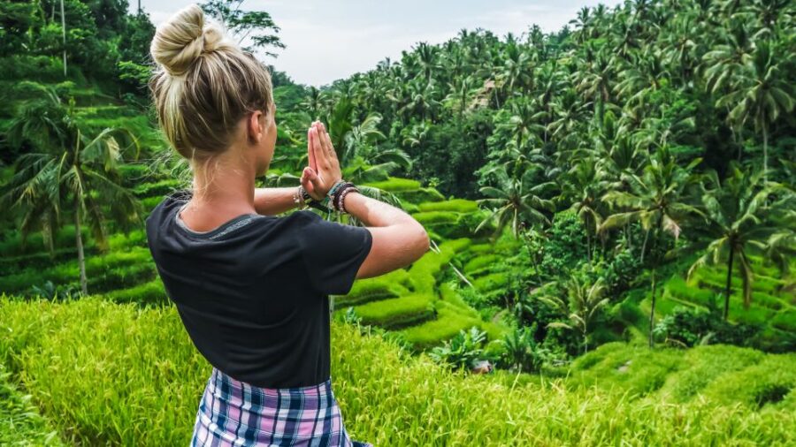 Ubud: Waterfall, Rice Terraces & Monkey Forest Private Tour
