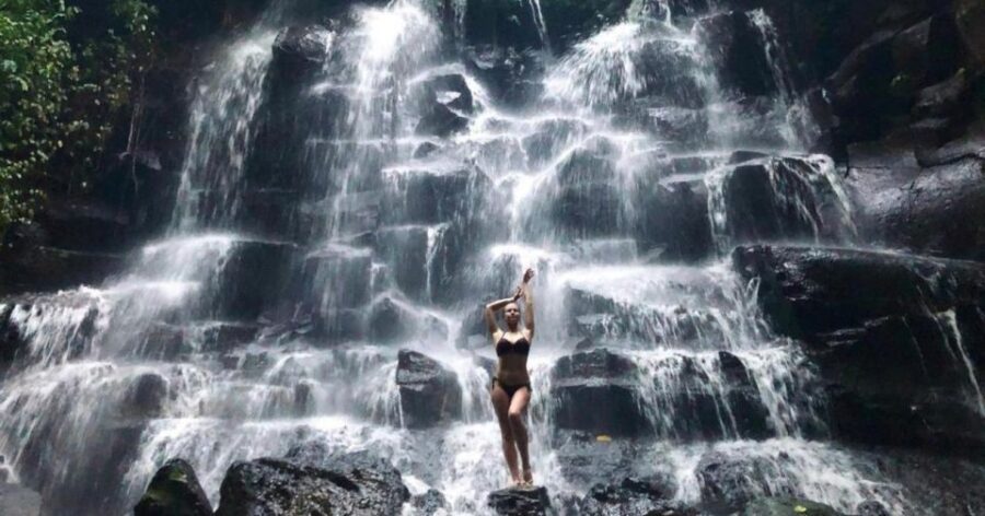 Ubud: Waterfalls, Temple and Rice Terrace Day Trip - Tour Overview
