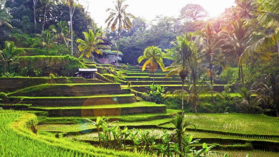 Ubud: Wood Carving Class in a Balinese Home