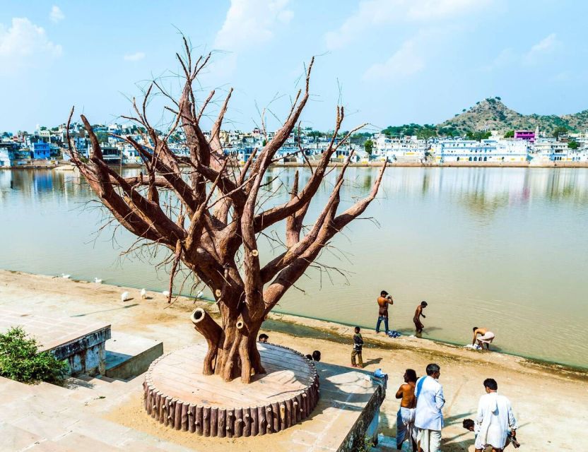 Udaipur to Jaipur via Pushkar Private Tour by Cab