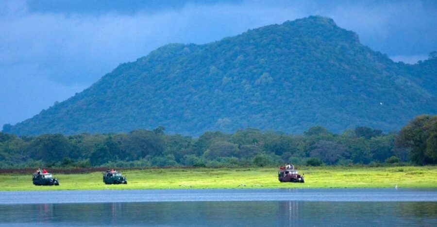 5 Best National Park Tours In Kandy