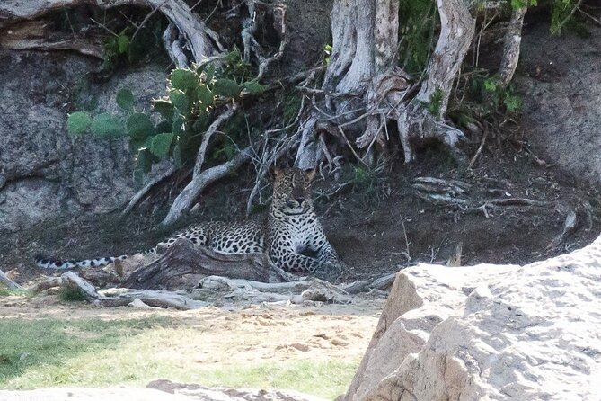 Udawalawe National Park | Private Safari Tour