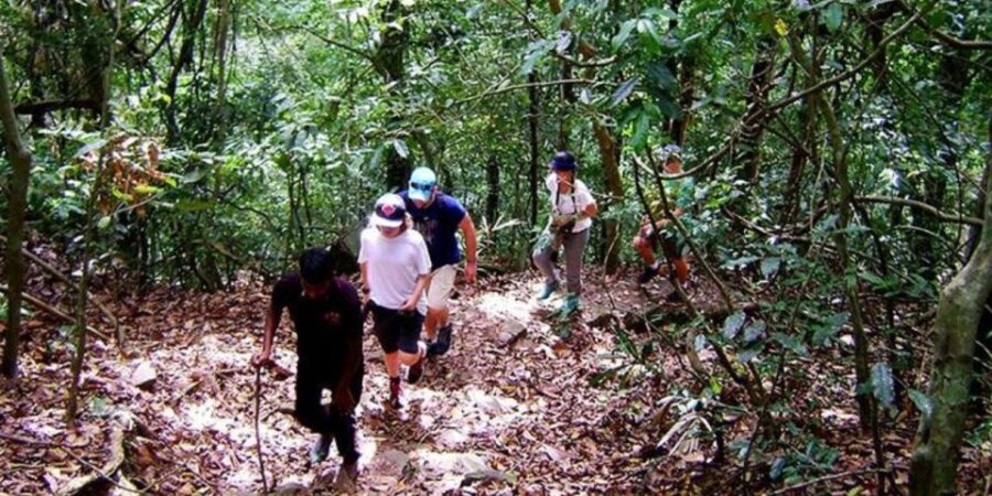 Udawatte Kele:Birdwatching and Nature Trekking Experience - Overview of the Experience