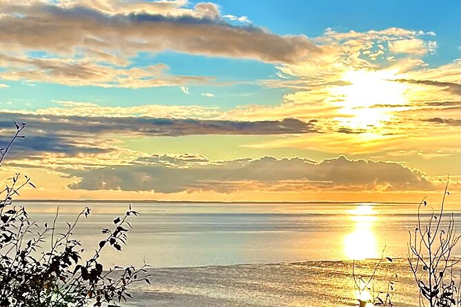 Ultimate Anchorage Winter Wildlife & Sunset Tour - Chugach State Park Exploration