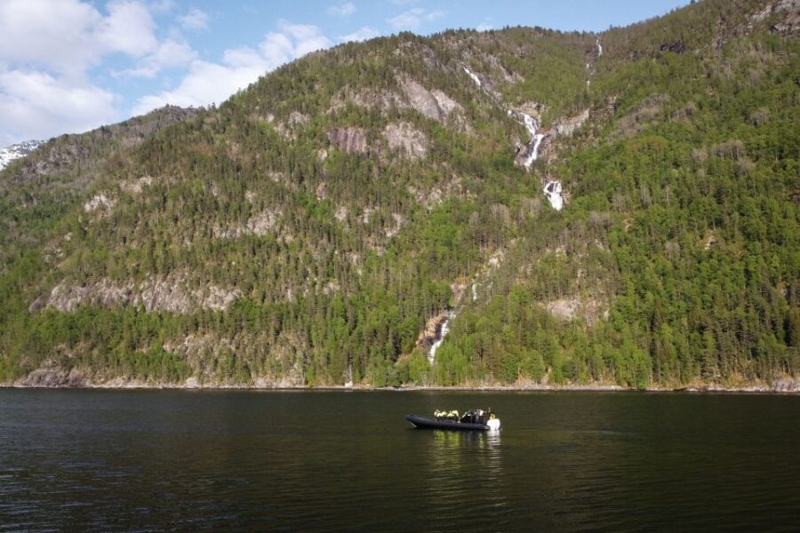 2 Best Cruises And Boat Tours In Ulvik