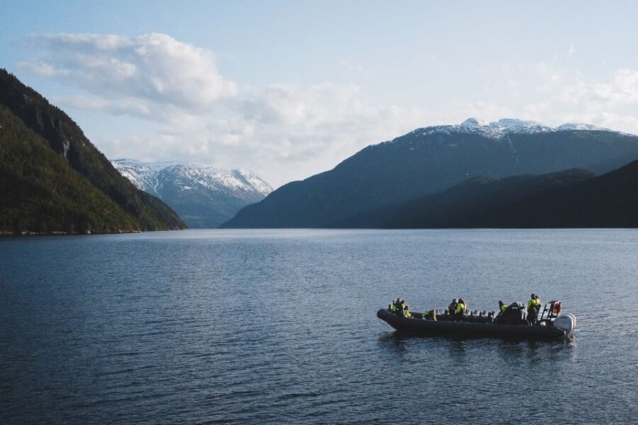4 Best Tours In Ulvik