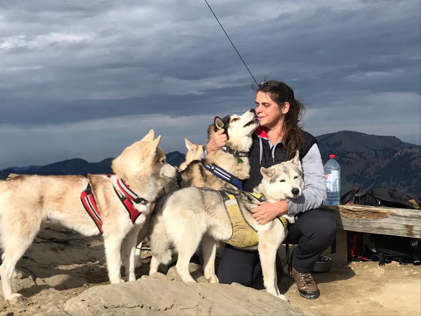 Underallgäu: Wiedergeltingen Guided Hike With Huskies