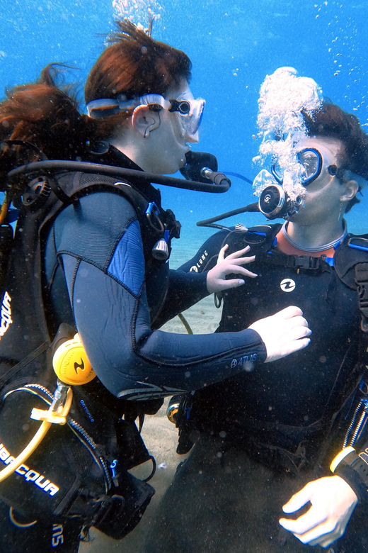 2 Best Scuba Diving Experiences In Arico