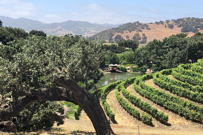 Unique Santa Barbara Wine Country Private Wine Tours and Tastings - Overview of Private Wine Tours