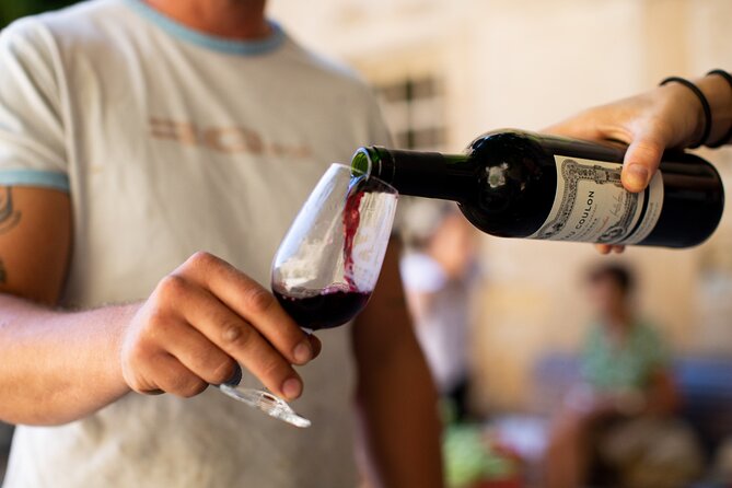 Unusual Visit & Tasting of Our Organic Wines