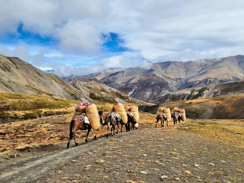 Upper Dolpo Trek - 24 Days - Trek Overview and Duration