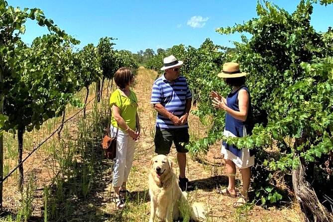 Upper Reach Winery: Swan Valley Winery and Vineyard Tour - Overview of the Winery