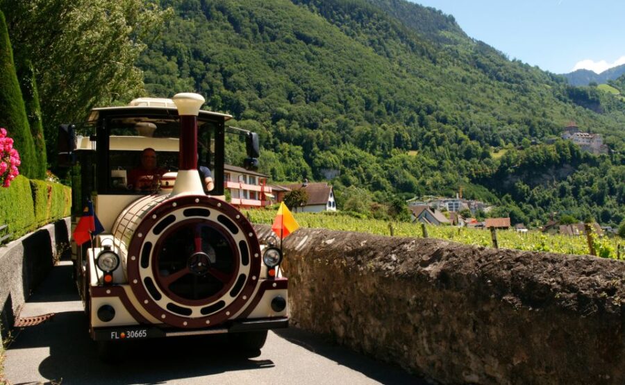 Vaduz: City Train Tour