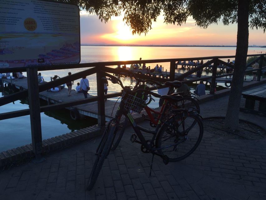 Valencia: Albufera Natural Park Bike and Boat Tour